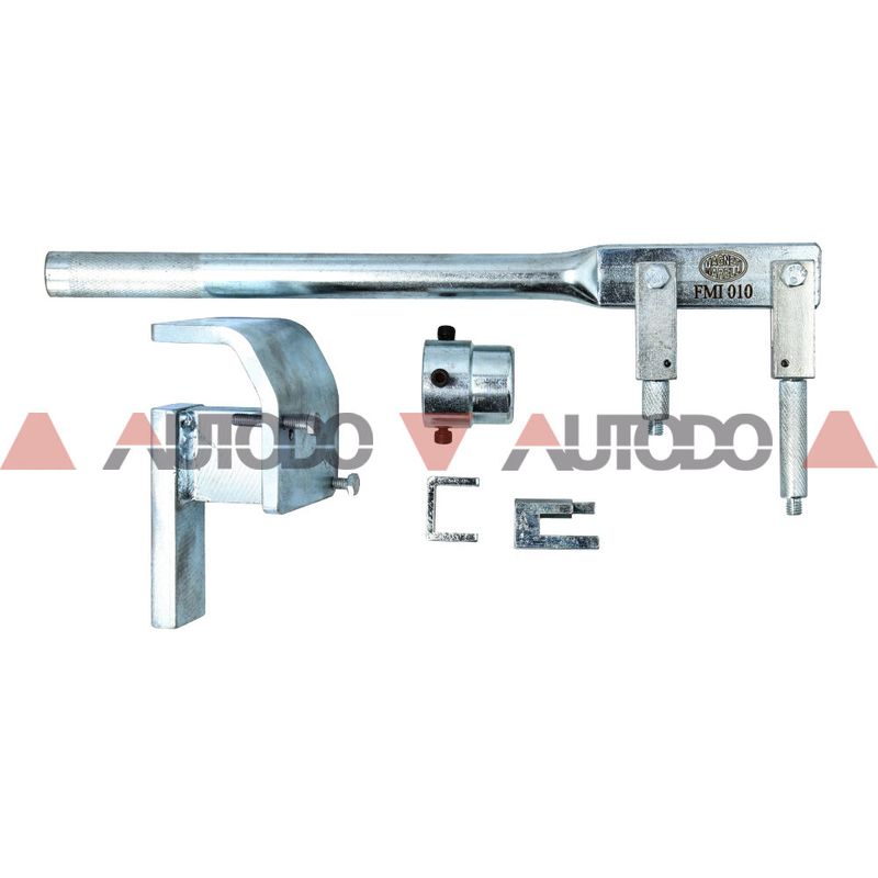 FMI010_1