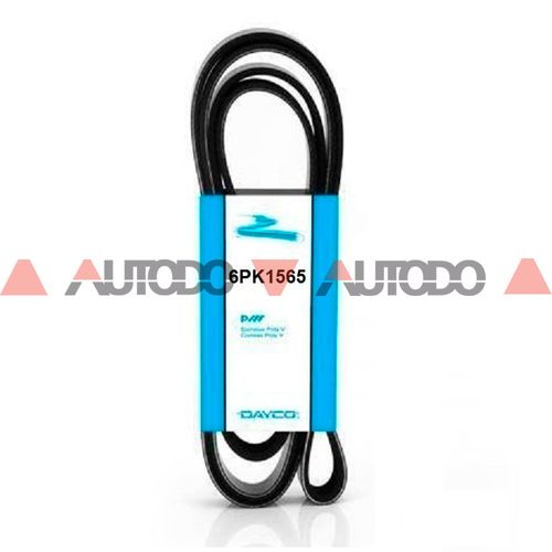 CORREA POLY V 6PK1565