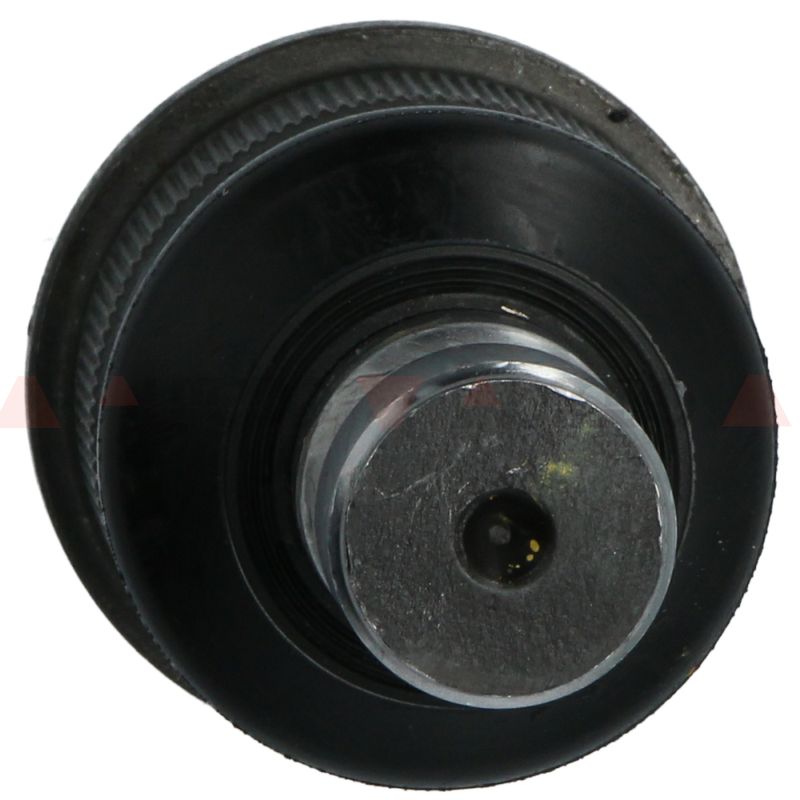 N10715NAK_2