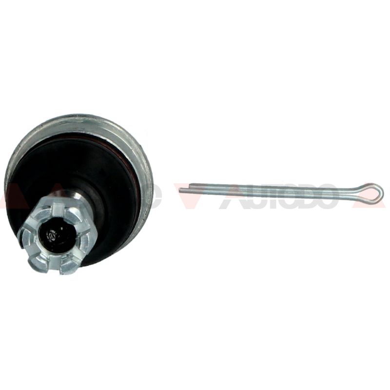 N10999NAK_2