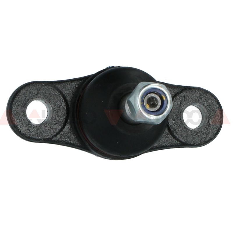 N11936NAK_2