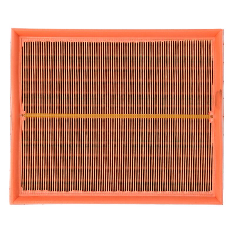 C25146MAN_1