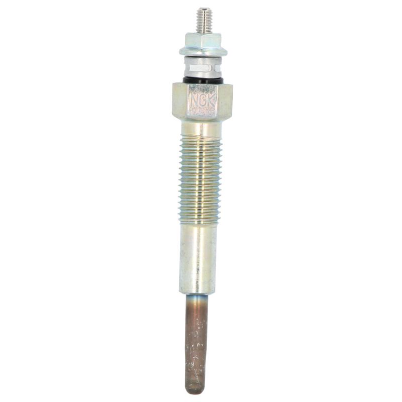 Y701JNGK_1