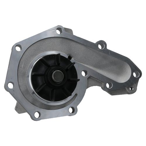 Bomba de agua Renault Express, Clio, Kangoo, Megane, R19, Scenic, Trafic