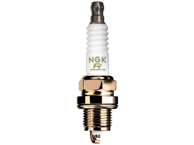 DPR8ZNGK