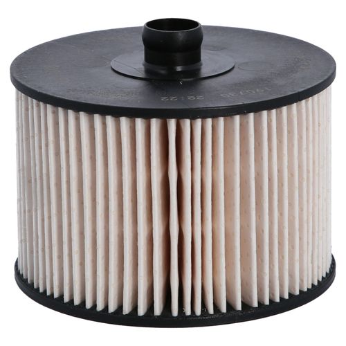 Filtro combustible Citroen C5 | Peugeot 407, Expert