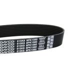 8PK1560-006-3