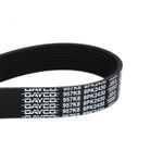 8PK2430-006-3