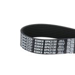 8PK2130-006-3