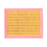 WA10038-029-1