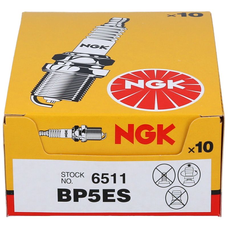 BP5ESNGK_3