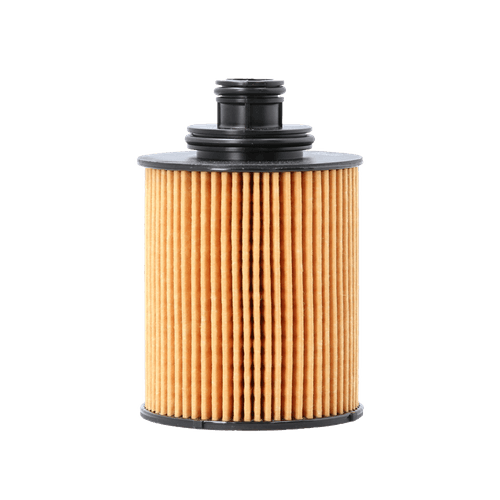 Filtro aceite Fiat Punto, Strada