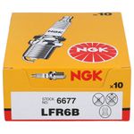 LFR6BNGK_3