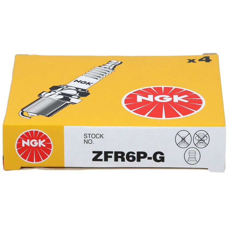 ZFR6PGNGK_3