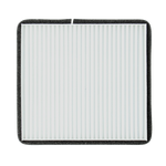 WP2020WIX_1
