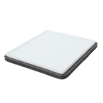 WP2020WIX_3