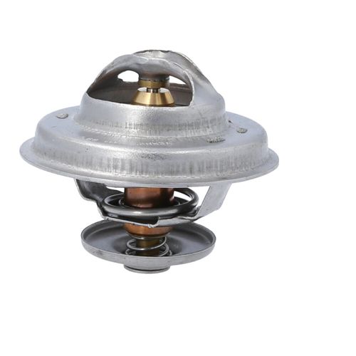 Termostato Bmw 316, 320, 323, 325, 520, 525