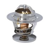 Termostato Ford Escort, Focus, Mondeo