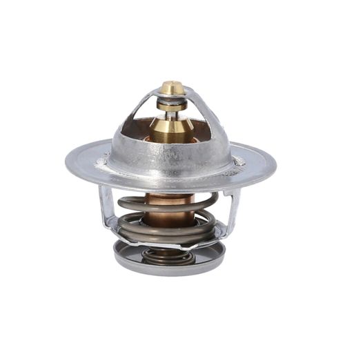 Termostato Renault Master