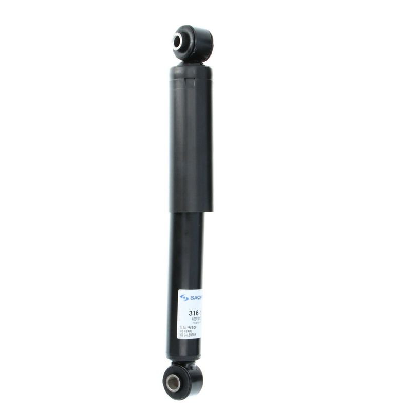 316183SAC_4