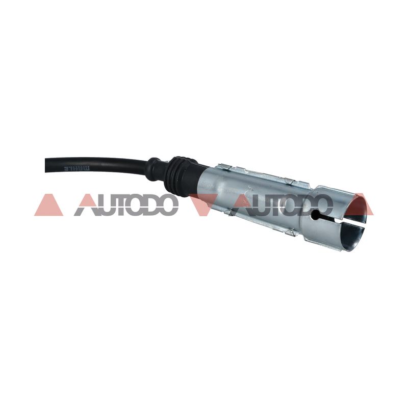 CV0590006MAH_4