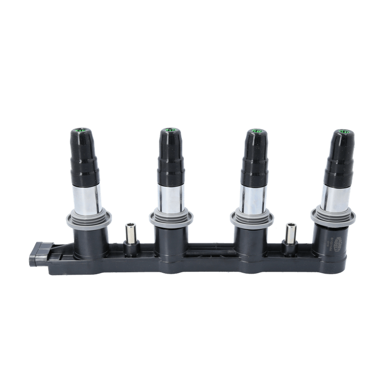BI1001MMMAG_1