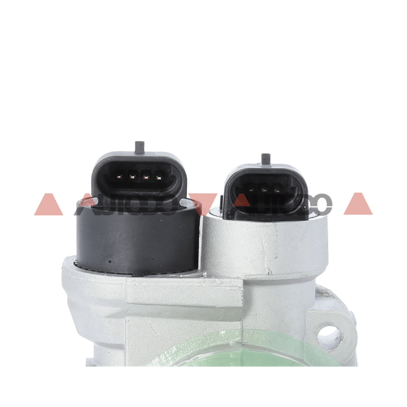 SXBF0502MAG_5