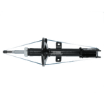 GP30567GYCOF_1