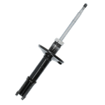 GP30559GYCOF_1