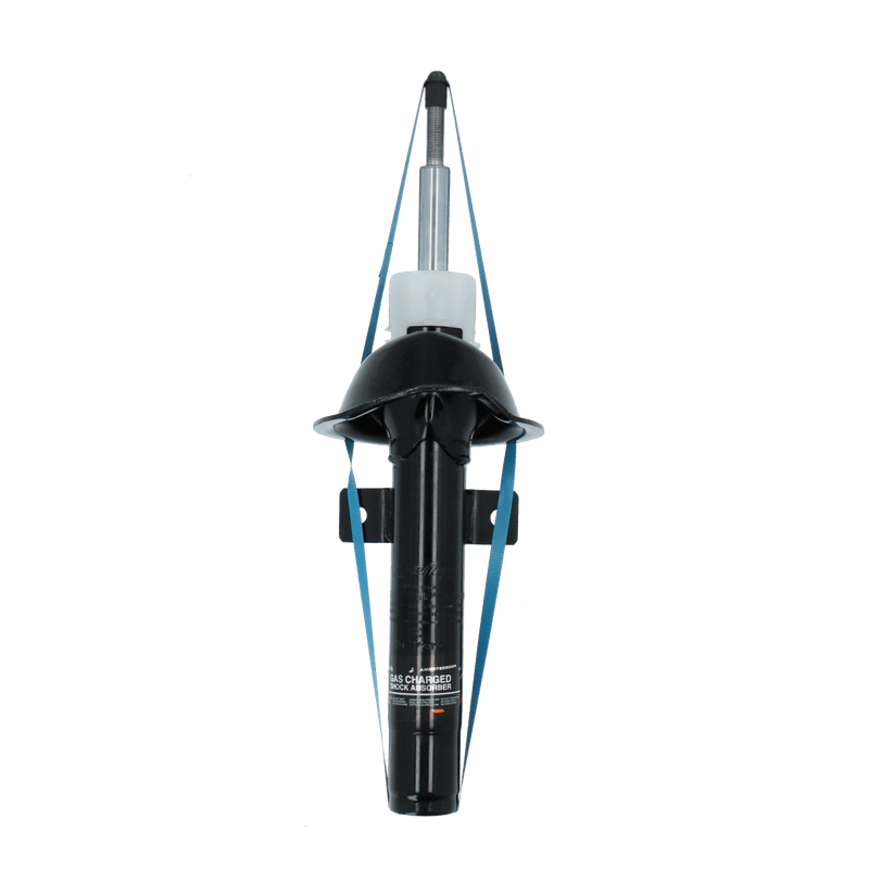 GP30074GYCOF_1
