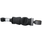 313055SAC_1