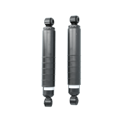 316066SAC_1
