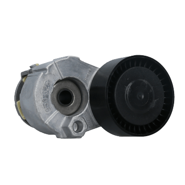 Tensor Poly-V Renault Clio Ii, Kangoo, Megane Ii, Symbol