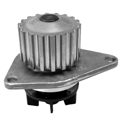 Bomba De Agua Citroen C3 | Peugeot 206, 207, 307