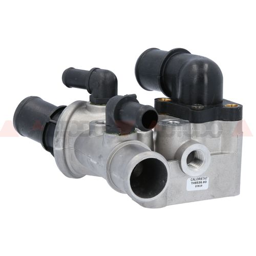 Termostato Fiat Palio, Siena, Strada