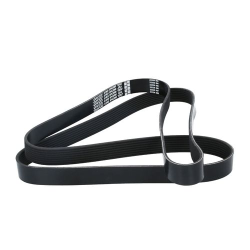 Correa Poly-V8Pk2080