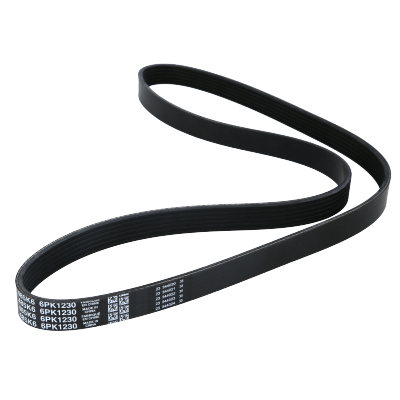 Correa Poly V 6Pk1230