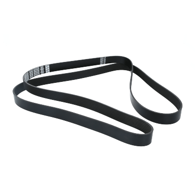 Correa Poly-V 8Pk2430