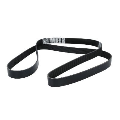 Correa Poly-V8Pk1895