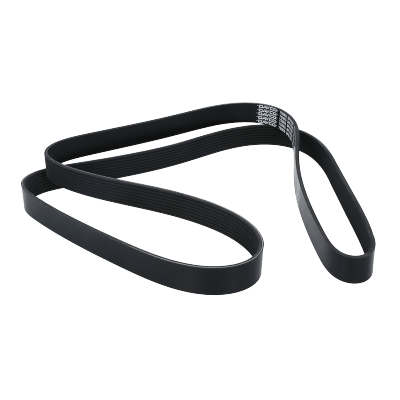 Correa Poly-V8Pk1920