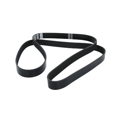 Correa Poly-V8Pk1930