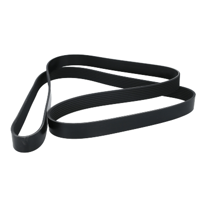 Correa Poly-V8Pk1956