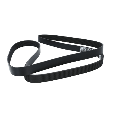 Correa Poly-V8Pk2110