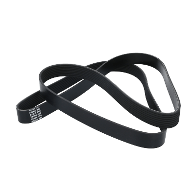 Correa Poly-V8Pk1880