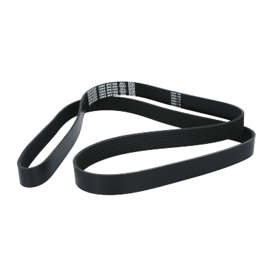 Correa Poly-V8Pk1830