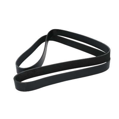 Correa Poly-V8Pk1815