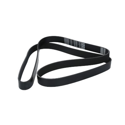 Correa Poly-V8Pk1805