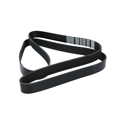 Correa Poly-V 8Pk1800