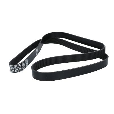 Correa Poly-V8Pk1790