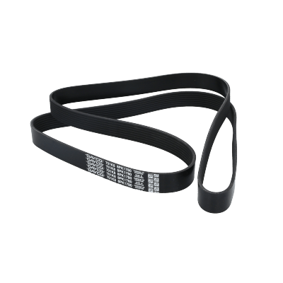 Correa Poly-V8Pk1780